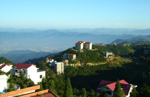 給上海鄧氏園林工程的工廠(chǎng)綠化景點(diǎn)案例留言_產(chǎn)品詢(xún).