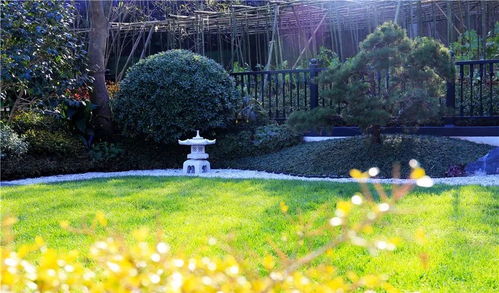 融創(chuàng)莫干溪谷景觀工程 賽石精品工程的匠心之作