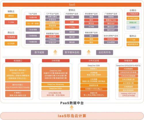 珍島Marketingforce五朵云 科技中介服務驅(qū)動企業(yè)數(shù)字化轉(zhuǎn)型騰飛